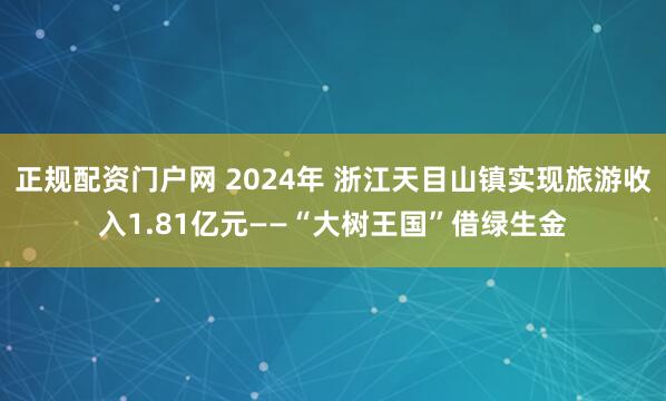 正规配资门户网 2024年 浙江天目山镇实现旅游收入1.81亿元——“大树王国”借绿生金