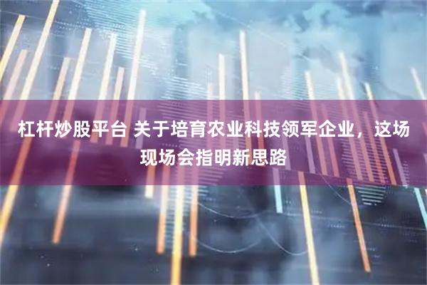 杠杆炒股平台 关于培育农业科技领军企业，这场现场会指明新思路