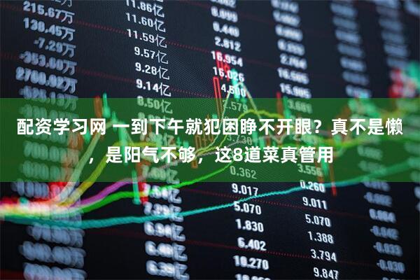配资学习网 一到下午就犯困睁不开眼？真不是懒，是阳气不够，这8道菜真管用